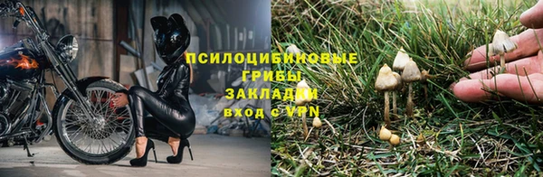 каннабис Алексин